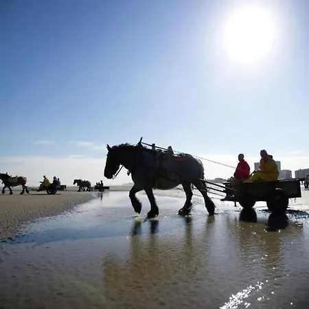 Gounod 201 Is Ideally Located Lejlighed Nieuwpoort